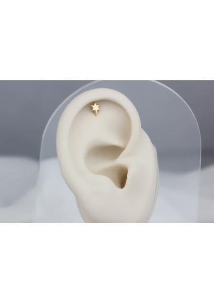 Altın Kutup Yıldızı Helix Piercing