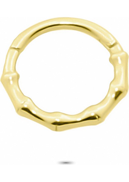 Altın Burgu Halka Piercing