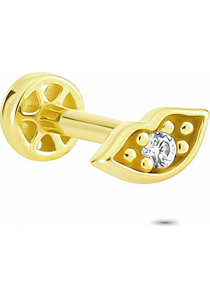 Altın Dudak Tragus Piercing