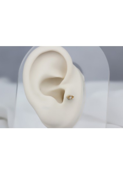 Altın Dudak Tragus Piercing