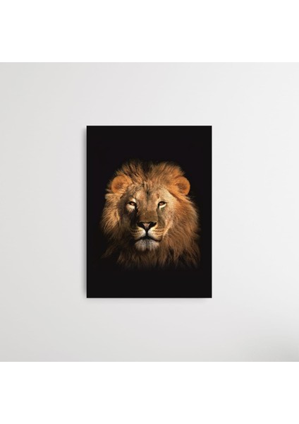 Aslan Portre 70 x 100 cm