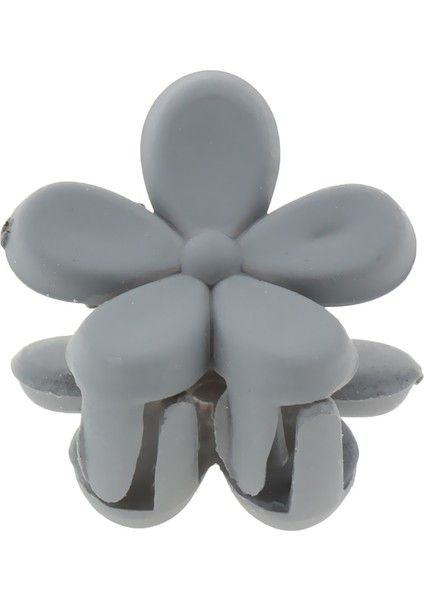 Saç Aksesuarı (Yurt Dışından) fiyatları