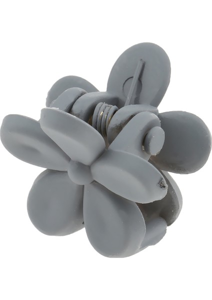 Saç Aksesuarı (Yurt Dışından) indirimleri