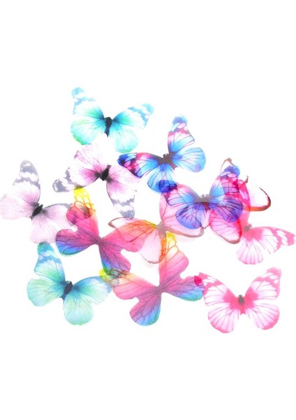 Saç Aksesuarı (Yurt Dışından)