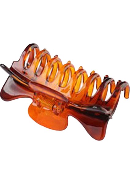 Saç Aksesuarı (Yurt Dışından) fiyatları