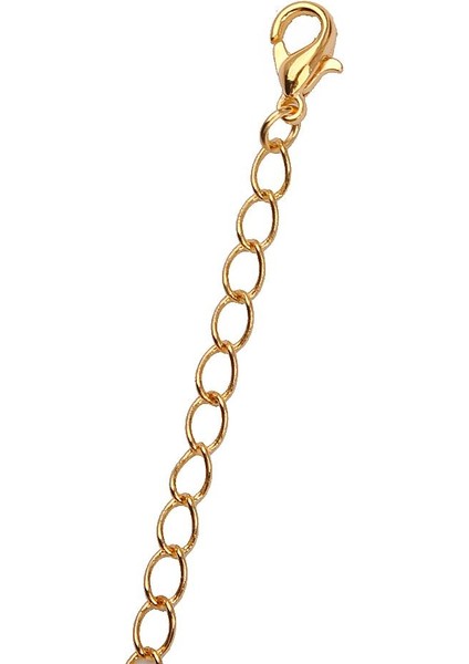 4X20 Adet 70 mm Uzatma Zinciri ile Istakoz Klipsleri Takı Için Altın ve Beyaz K 4 Adet (Yurt Dışından) fiyatları