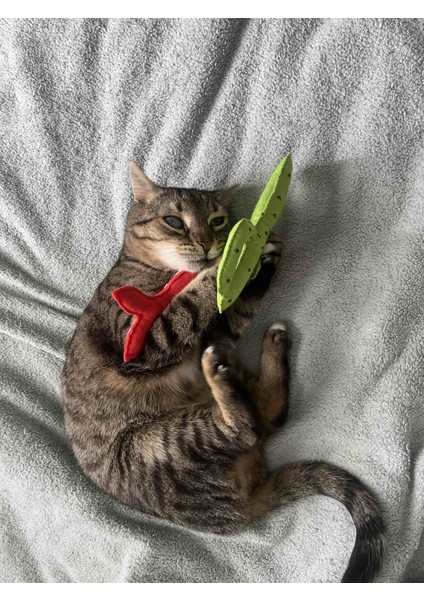 Dino Pet Oyuncak - Kedi Naneli (Catnipli) Kedi Oyuncağı - Keçe Kaktüs
