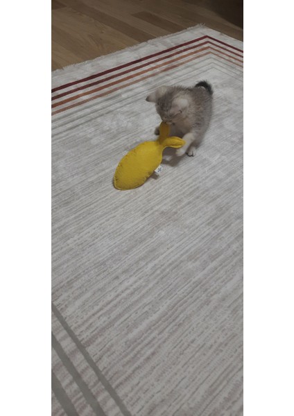 Dino Pet Oyuncak - Kedi Naneli (Catnipli) Kedi Oyuncağı - Keçe Sarı Balık