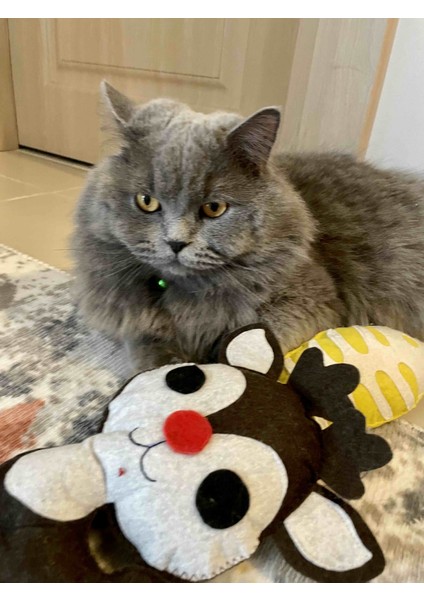 Dino Pet Oyuncak - Kedi Naneli (Catnipli) Kedi Oyuncağı - Keçe Sarı Balık