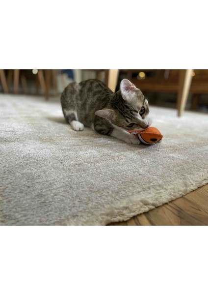 Dino Pet Oyuncak - Kedi Naneli (Catnipli) Kedi Oyuncağı - Keçe Nemo