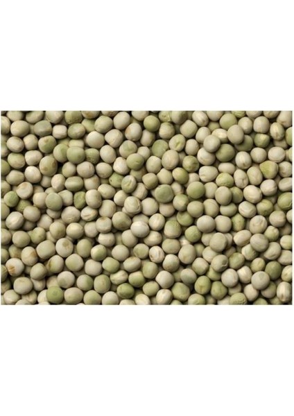 Yem Bezelyesi Tohumu (Külür) 500 gr