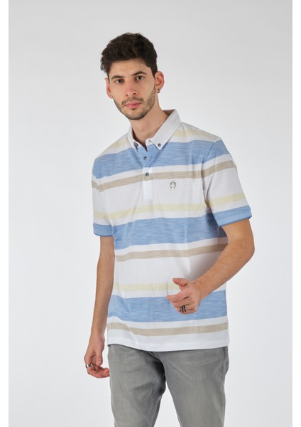 Minimalist Çizgili Polo Yaka Regular Fit Erkek T-Shirt - Günlük Kullanım