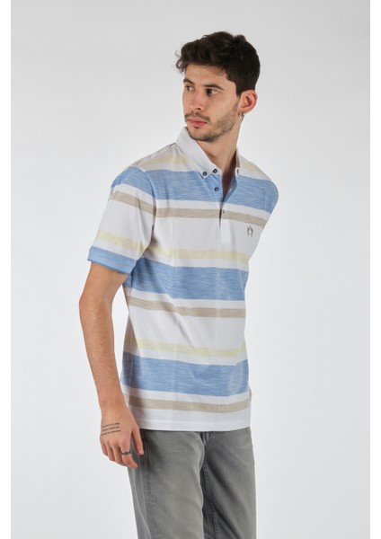 Minimalist Çizgili Polo Yaka Regular Fit Erkek T-Shirt - Günlük Kullanım fiyatları