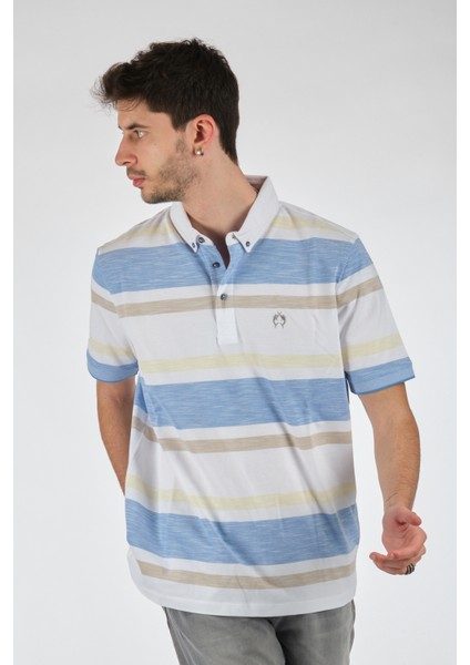 Minimalist Çizgili Polo Yaka Regular Fit Erkek T-Shirt - Günlük Kullanım modelleri