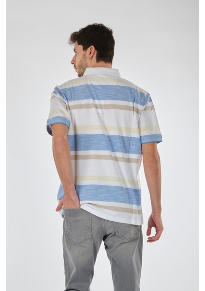 Minimalist Çizgili Polo Yaka Regular Fit Erkek T-Shirt - Günlük Kullanım fırsatları