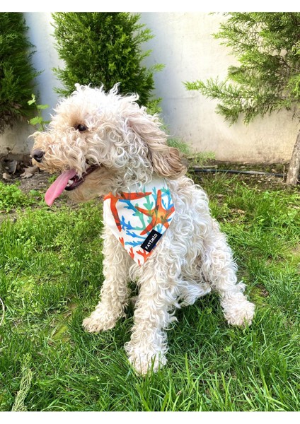 Summer Kedi ve Köpek Tasma Fular Bandana fırsatları