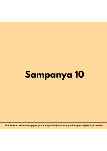 izower Zemin ve Kort Boyası – Şampanya 10 (18KG)