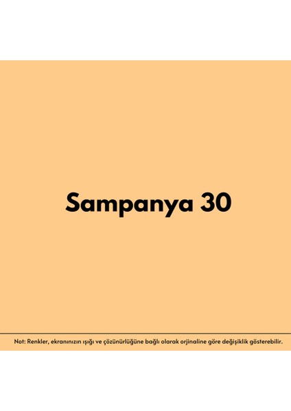 izower Zemin ve Kort Boyası – Şampanya 30 (18KG) fiyatları