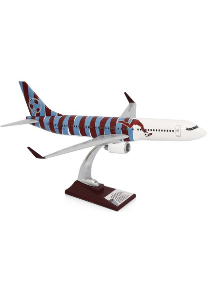 Boeing 737-800 Bordo Mavi Taraftar Özel Tasarımlı 1/100 Maket Uçak, Model A