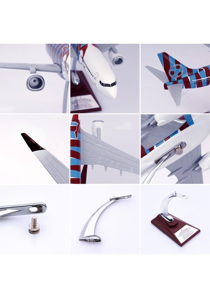 Boeing 737-800 Bordo Mavi Taraftar Özel Tasarımlı 1/100 Maket Uçak, Model A