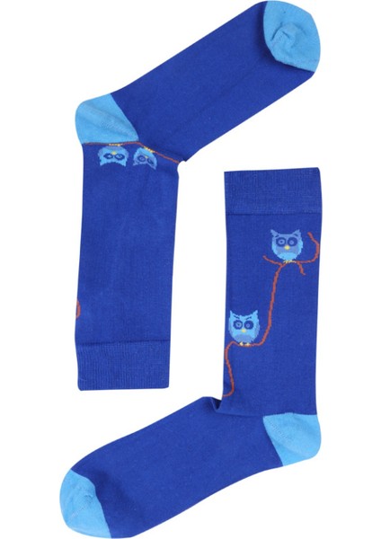 TheSocksCompany Wise Birds Erkek Çorap