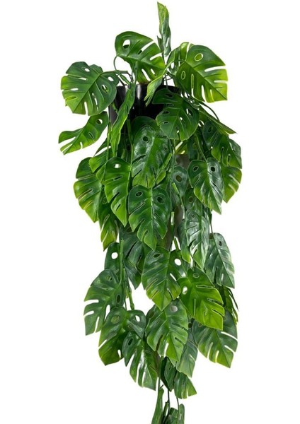 Yapay Çiçek Saksıda Sarkan Monstera Deve Tabanı Yapay Sarmaşık Pastel 60CM