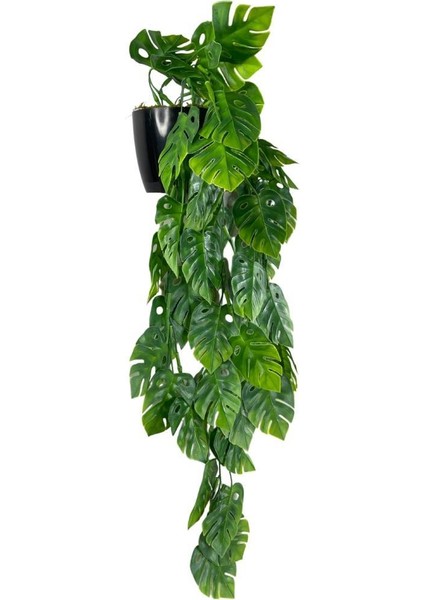 Yapay Çiçek Saksıda Sarkan Monstera Deve Tabanı Yapay Sarmaşık Pastel 60CM