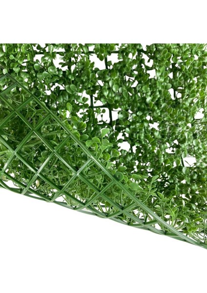 Yapay Çiçek Duvar Kaplama Panel Şimşir Tabaka 50*50CM Dik Duvar Uygulama
