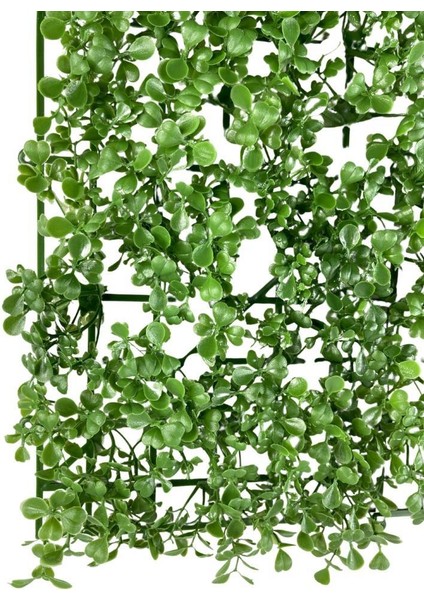 Yapay Çiçek Duvar Kaplama Panel Şimşir Tabaka 50*50CM Dik Duvar Uygulama