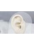 Altın Ay Yıldız Helix Piercing 2