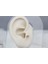 Altın Dudak Tragus Piercing 2