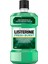 Fresh Burst (Ferah Nane) 500ML 1