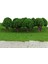 4x 50 Adet Manzara Peyzaj Tren Model Ağaçları Açık Yeşil 1/500 (Yurt Dışından) 2
