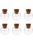 6pcs Mini Balkabağı Boş Cam Arzu Şişe Şişesi Kolye Takılar Kavanozlar 18MM (Yurt Dışından) 3