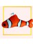 Dino Pet Oyuncak - Kedi Naneli (Catnipli) Kedi Oyuncağı - Keçe Nemo 2