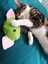 Dino Pet Oyuncak - Kedi Naneli (Catnipli) Kedi Oyuncağı - Keçe Yoda 4