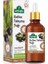Defne Tohumu Yağı 50Ml 1