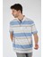 Minimalist Çizgili Polo Yaka Regular Fit Erkek T-Shirt - Günlük Kullanım 3