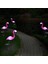Güneş Enerjili LED Bahçe Aydınlatması (Yurt Dışından) 3