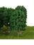 Demiryolu Diorama Wargame Manzara Manzara Için 10 Plastik Ağaç Modeli (Yurt Dışından) 3
