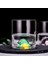 3D Hayvan Kafası Kristal Kayalar Iskoçya Viski Gözlük Eski Moda Cam Verre Xo Chivas Kırmızı Şarap Kupası Brendi Snifter | Eski Moda Cam (Papağan)(Yurt Dışından) 3