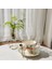 2 Adet Fransız Çay Bardağı ve Dailer Set Porselen Çay Potu Teacup Coaster Kahve Kupa Seti Ev Teaware Setleri Coffeeware | Teacups 3