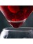 Ayırt Edici Moleküler Mixoloji Buzlu Kokteyl Kristal Cam Bar Salon Parti Martini Koni Küresel Şarap Bardağı Seti Verre | Kokteyl Cam 3