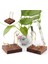 Ekran Standı Mineral Geode Kristal Top Küre Ametist Küme Tutucu (Yurt Dışından) 5