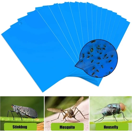 The Best Online Mavi Tuzak (Böcek Tuzaği), 25-40 Cm, 3 Adet