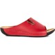  Renk Bordo