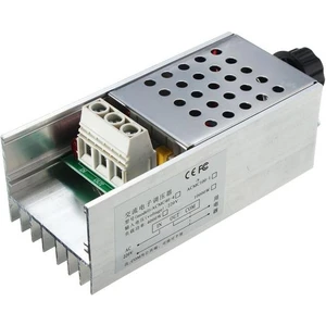 Ac 220V 10000W Motor Dimmer Hız Kontrol Kartı