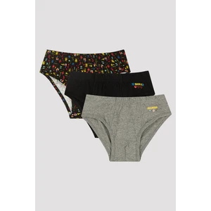 Erkek Çocuk Brave 3lü Slip Külot