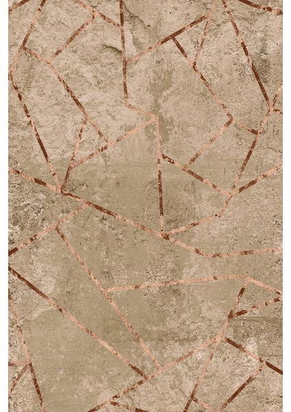 Modern Geometrik Vizon Dijital Baskı Halı Kaydırmaz Ince Yıkanabilir fiyatları