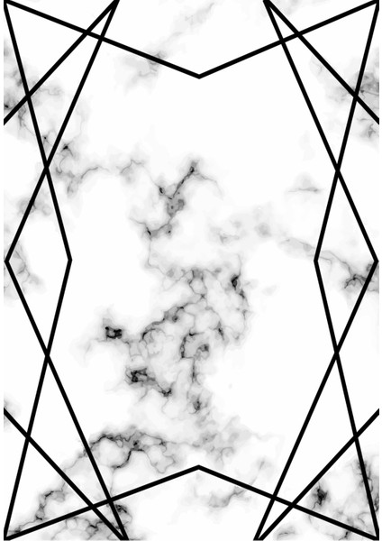 Klasik Geometrik Beyaz Dijital Baskı Halı Kaydırmaz Ince Yıkanabilir fiyatları